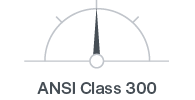 ISO-ANSI-class-300